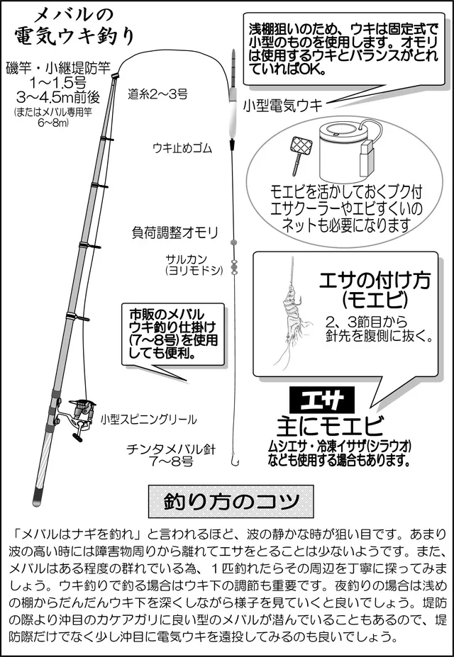 メバルの電気ウキ釣り｜釣具のイシグロ |釣り情報サイト